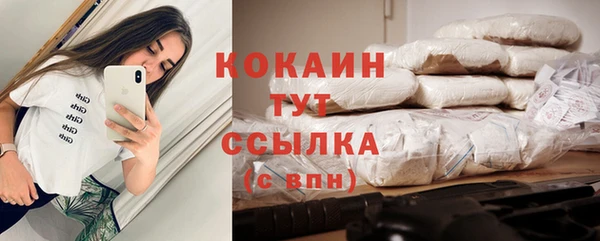 дмт Белокуриха