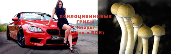 дмт Белокуриха