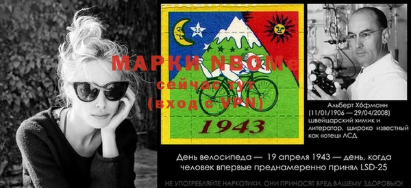дмт Белокуриха