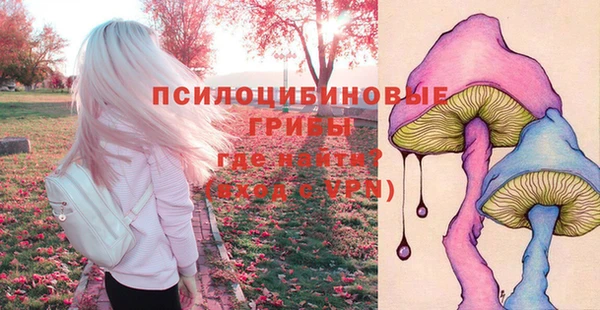 дмт Белокуриха