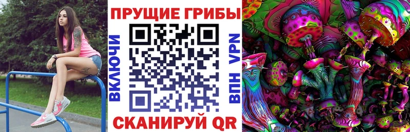 кракен tor  Чистополь  Галлюциногенные грибы мицелий  купить  